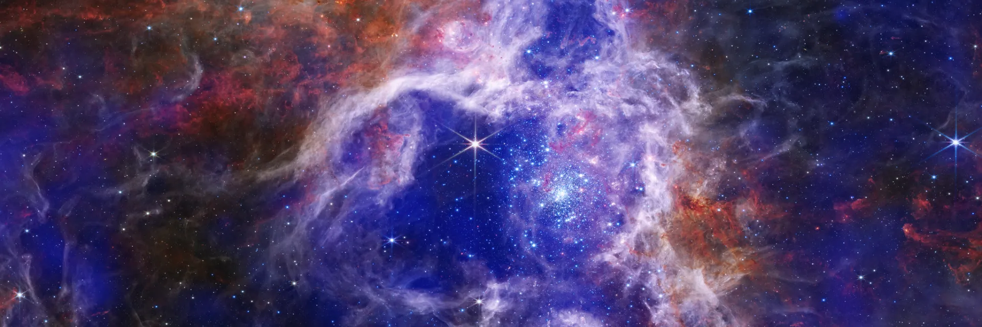 Chandra X-ray Observatory teamed up with the Webb telescope to create a new stunning composite image of the Tarantula Nebula. Chandra's X-rays (shown in royal blue and purple) identify extremely hot gas and supernova explosion remnants, while Webb reveals forming baby stars. Image credit: X-ray: NASA/CXC/Penn State Univ./L. Townsley et al.; IR: NASA/ESA/CSA/STScI/JWST ERO Production Team